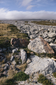 A river of stones flowing down a hillside near Goose Green in the Falkland Islands. Sub Antarctica