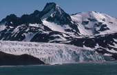 The Fortuna Glacier, a tidewater glacier at the mouth of Cumberland Sound. South Georgia.