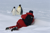 Tourist photographs an Emperor Penguin and an Adelie Penguin together. Weddell Sea. Antarctica