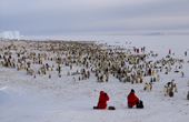 Tourists sit at the edge of an emperor penguin colony. Atka Bay. Weddell Sea. Antarctica.