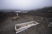 Graves at the now abandoned BAS station and Whaling station. Whalers Bay. Deception Island. Antarctica