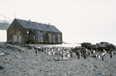 BAS Station 0. The hut at Danco Island or Isla Dedo was removed in 2004. Antarctica