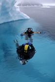 Divers close to a small iceberg while on a dive at Neko Harbour. Antarctica