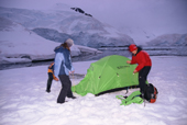 Adventure tourism, putting up a tent at Paradise Harbour as it gets dark, to camp in Antarctica