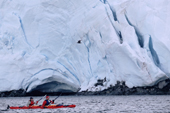 Eco tourists in double kayak paddle past a glacier near Port Lockroy, watched by an skua. Antarctic Peninsula