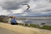 Local couple feed Dolphin Gulls by the shore in Ushuaia. Argentina.