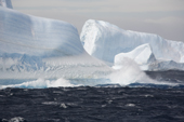 Waves break agains the bottom of large icebergs on a stormy day in Erebus & Terror Gulf. Antarctic Peninsula