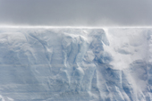 The top of a large tabular iceberg shines with the backlit snow blowing along the surface in windy weather. Antarctica
