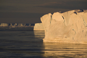 Icebergs leading back and grease ice on the Weddell Sea at sunset in October. Antarctica