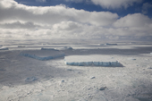 Icebergs caught in the winter sea ice east of Snow Hill Island. Weddell Sea. Antarctica