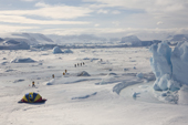 Aerial view of the safety tent and passengers walking to the Emperor Penguin Colony at Snow Hill Island. Antarctica