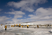 Yellow jacketed tourists visit the Emperor Penguin colony at Snow Hill Island Antarctica