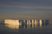 Tabular Iceberg with its reflection with grease ice at sunset in Erebus and Terror Gulf. Antarctica
