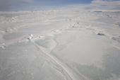 Refrozen crack and small pressure ridges in the sea ice in Erebus and Terror Gulf Antarctica.
