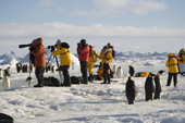 Tourists in bright jackets photograph Emperor Penguins at the Snow Hill Island Colony. Antarctica
