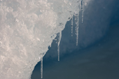 Icicles hang off a thawing iceberg in Antarctica.