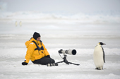 Photographer with a telephoto lens sits and waits for an emperor penguin to move further away. Snow Hill Island. Antarctica