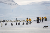 Photographers with tripods and telephoto lenses at the Snow Hill Island Emperor Penguin rookery. Antarctica
