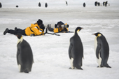 Photographers with long lenses and tripods photograph Emperor Penguins at Snow Hill Island. Antarctica.