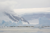 The Snow Hill Emperor Penguin colony is surrounded by well eroded icebergs and mountains. Antarctica