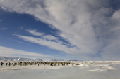 Bands of cloud over the emperor penguin colony by Snow Hill Island, with low cloud and old icebergs. Antarctica