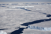 Leads snake between tabular icebergs as the Antarctic Summer arrives in the Weddell Sea. Antarctica