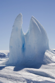 Well eroded small iceberg, frozen into the sea ice at Snow Hill Island. Antarctica.
