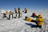 A line of Emperor Penguins files through a group of yellow jacketed tourists. Snow Hill Island. Antarctica