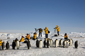A line of Emperor Penguins files through a group of yellow jacketed tourists. Snow Hill Island. Antarctica