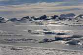 Sea ice with snow and eroded bergy bits in bright sunshine. Snow Hill Island. Antarctica