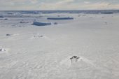 A line of Emperor Penguins cross a vast Antarctic landscape. Snow Hill Island Antarctica