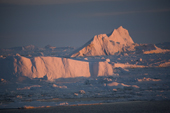 Icebergs in sea ice at sunset in the Weddell Sea. Antarctica