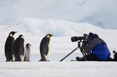Emperor Penguins watch a photographer with a tripod at the Snow Hill Island colony. Antarctica