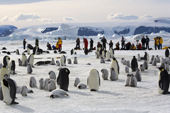 Emperor Penguin colony and visitors with a backdrop of James Ross Island. Snow Hill Island colony. Antarctica.