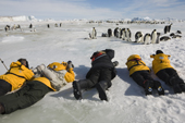 Passengers get as close as they can to the emperor penguin with its chick on its feet. Snow Hill Island. Antarctica