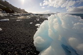 Lumps of iceberg ice lay stranded on the volcanic beach at Brown Bluff. Antarctica