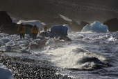 Enthusiastic tourists walk amongst ice blocks in the surf on Brown Bluff Beach. Antarctica