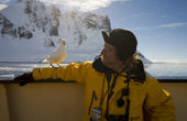 A Sheathbill shows little fear of the passengers on an early trip to the Lemaire Channel. Antarctica