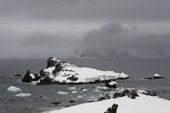 Tourists watch Penguins on a rocky outcrop by Half Moon Island, South Shetland Islands in typical gloomy weather. Antarctica.