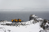 Tourists on Half Moon Island, South Shetland Islands in typical gloomy weather. Antarctica.
