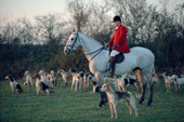 Master of the Portman Hunt, E.Lycett-Green, autumn hunting early in the morning Dorset. England. 1988-89