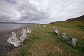 Ceremonial site, Bowhead Whale Skulls at Whale Bone Alley. Yttygran Is. Chukotka Siberia. 1997