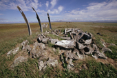 Site of the well preserved house of turf & whalebones at Masik. Chukotka. Siberia. 1997