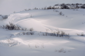 Snow covered tundra on the Kola Peninsula near Nikel. Murmansk, NW Russia. 2005