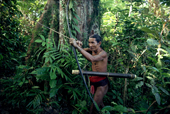 Mentawai Medicine Man hunts in the rainforest with bow & arrow. Siberut Is. Indonesia