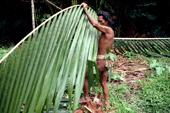 Mentawai man cuts palm branches to use as racks for drying leaves on. Siberut Island, Indonesia.