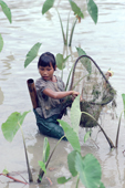 Young Mentawai girl fishing in a flooded taro garden. Siberut Is. Indonesia