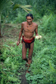 Mentawai Medicine Man gathering medicinal plants in the rainforest. Siberut, Indonesia.