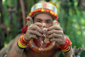 Mentawai medicine man examines chick entrails he has used to help a sick man. Siberut Island, Indonesia.