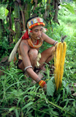 Mentawai Medicine man makes display of plants & feathers to call spirits to help him. Siberut Island, Indonesia.